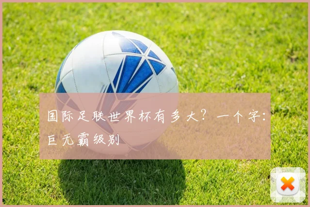 国际足联世界杯有多大?一个字:巨无霸级别