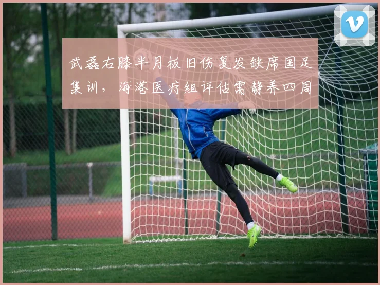 武磊右膝半月板旧伤复发缺席国足集训,海港医疗组评估需静养四周